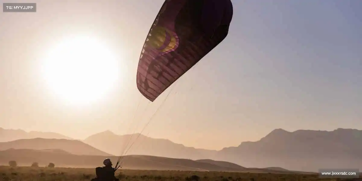 为什么选择我们